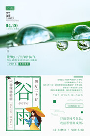 谷雨插画图片