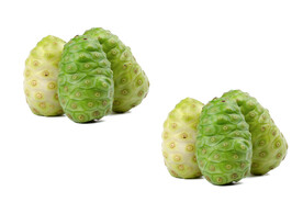 荠菜根