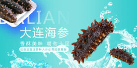 大连海参