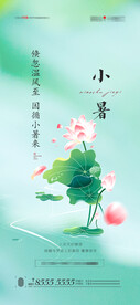 小暑 海报