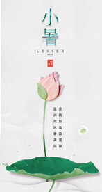 小暑 海报