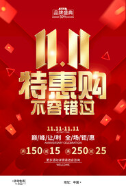 双11