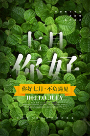 你好七月