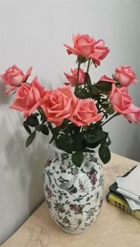 红色长寿花