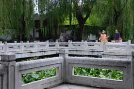 公园风景  