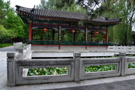 公园风景