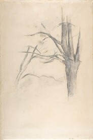 塞尚 