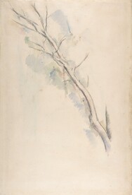 塞尚  