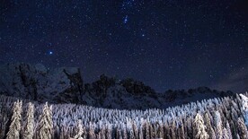 森林黑夜