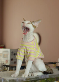 恐吓