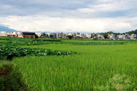 田园风光