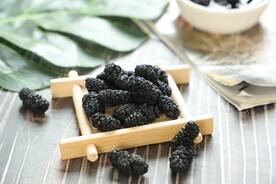 桑椹乌 椹桑果 桑枣 桑葚酒 