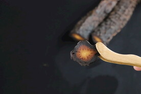 阿拉善肉苁蓉 大芸