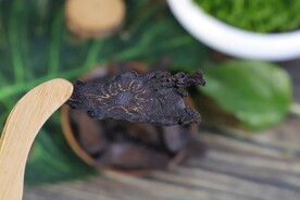 阿拉善肉苁蓉 大芸 