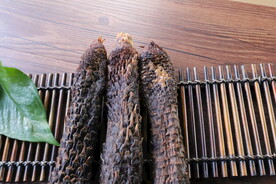 阿拉善肉苁蓉 大芸 