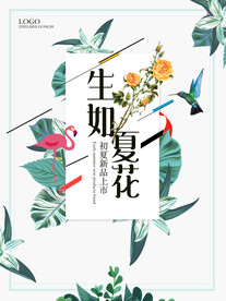 夏季特惠
