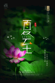 简约时尚小清新夏至节日海报