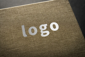 logo标志