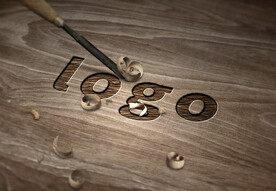 logo标志