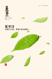 清新简约创意二十四节气夏至节日