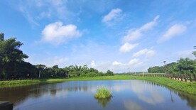 乡村池塘的早晨
