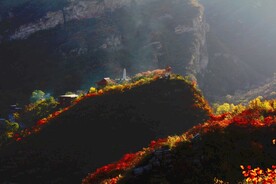 坡峰岭秋色