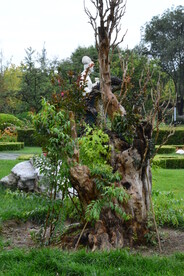 公园风景 