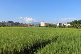 田园风光