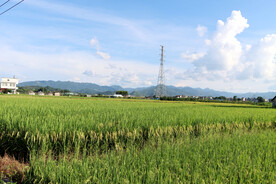 田园风光