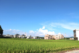 农村田园风光