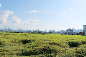 田园风光