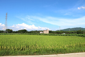 田园风光