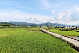 农村风光