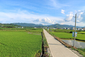 田园风光