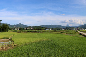 田园风光