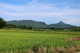 田园风光