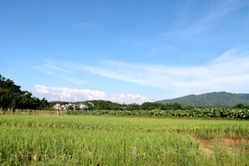 田园风光