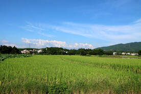 田园风光