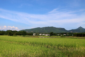 田园风光