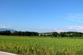 田园风光