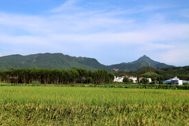 夏天农村田园风光