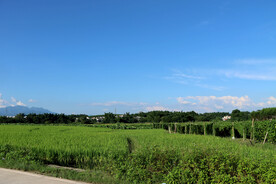 田园风光