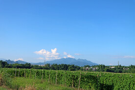 田园风光