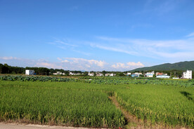 田园风光