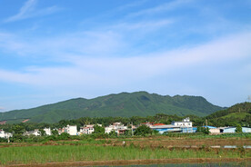 田园风光