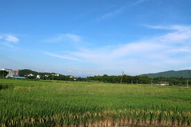 田园风光