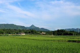 田园风光