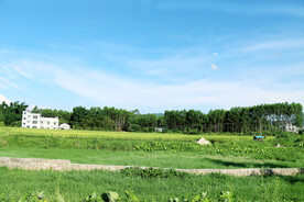田园风光