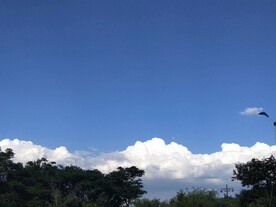风景