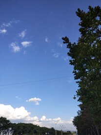 风景
